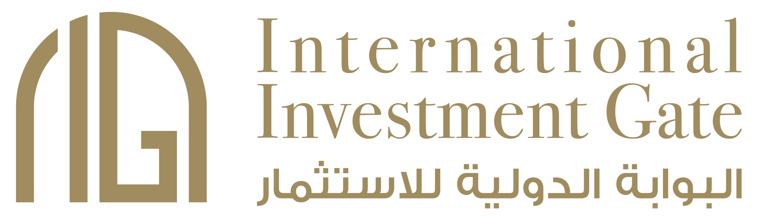 International Investment Guide